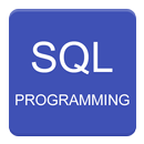APK SQL Programming