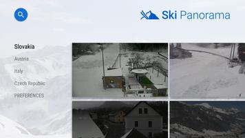 Ski Panorama 海報