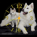 Nice Photo Clock APK