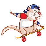Skater Rat