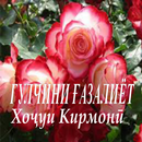 ГУЛЧИНИ ҒАЗАЛ Хоҷуи Кирмонӣ. APK