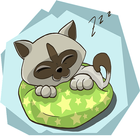 Sleep Day Wishes icon