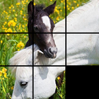 Slider Puzzle Game Wild Horses أيقونة