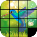 Sliding Puzzle Birds APK