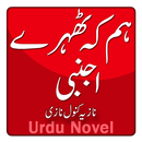 Hum Ke Tehray Ajnabi by Nazia Kanwal Nazi  - Novel APK