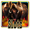 Slots Stampede