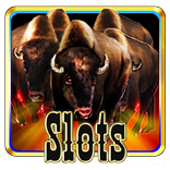 Estampida de Tragamonedas