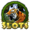 Amazon Slots