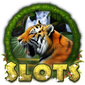 Amazon Slots