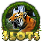 Amazon Slots 图标