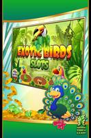 Exotic Birds Slots Poster