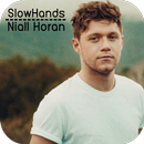 Slow Hands - Niall Horan Songs & Lyrics aplikacja