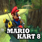 Pro Mario Kart 8  Special Guia Zeichen
