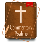 Bible Commentary-icoon