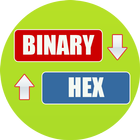 Binary to Hex Converter icône