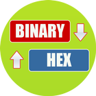 Binary to Hex Converter Zeichen