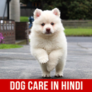 Dog Care in Hindi APK