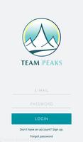 Team Peaks 海報