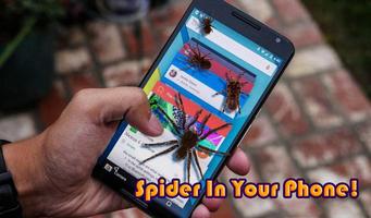 Spider Crawling Prank Plakat