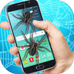 Real Spider crawl in phone screen scary Joke