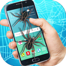 عنكبوت حقيقي يزحف في شاشة الهاتف مزحة مخيفة APK