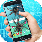 Real Spider crawl in phone screen scary Joke ไอคอน