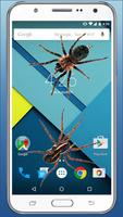 Real Spider crawl in phone screen scary Joke syot layar 2