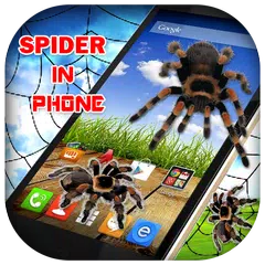 Скачать 3D Spider in Phone prank APK