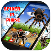 3D Spider in Phone prank