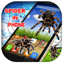 3D Spider in Phone prank APK