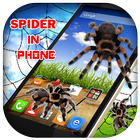 3D Spider in Phone prank biểu tượng