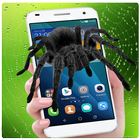 Real Spider On Screen Prank icône