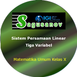 SP Linear Tiga Variabel