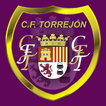 CF Torrejon Infinia