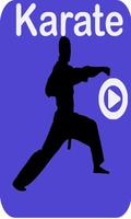 How to Play Karate Learning And Training App Video постер