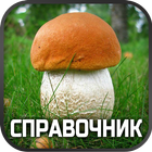Справочник грибов icône
