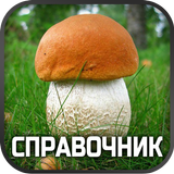 Справочник грибов ไอคอน