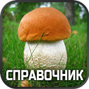 Справочник грибов aplikacja