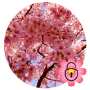 Romantic sakura lock theme APK