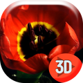 Spring Tulip Flower Live WP