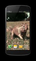 Little Squirrel 3D Wallpaper ポスター