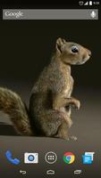 3D Squirrel Live Wallpaper الملصق