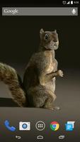 3D Squirrel Live Wallpaper ภาพหน้าจอ 1