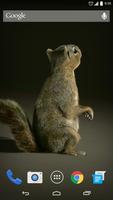 3D Squirrel Live Wallpaper ภาพหน้าจอ 2