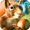 Squirrel with Acorn Live Wallp APK