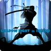 Shadow Fight in Island