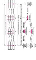 Data Communications & Network ภาพหน้าจอ 2