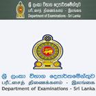 Examination Result-icoon