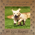 MY DOG FRAMES