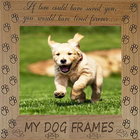 MY DOG FRAMES-icoon